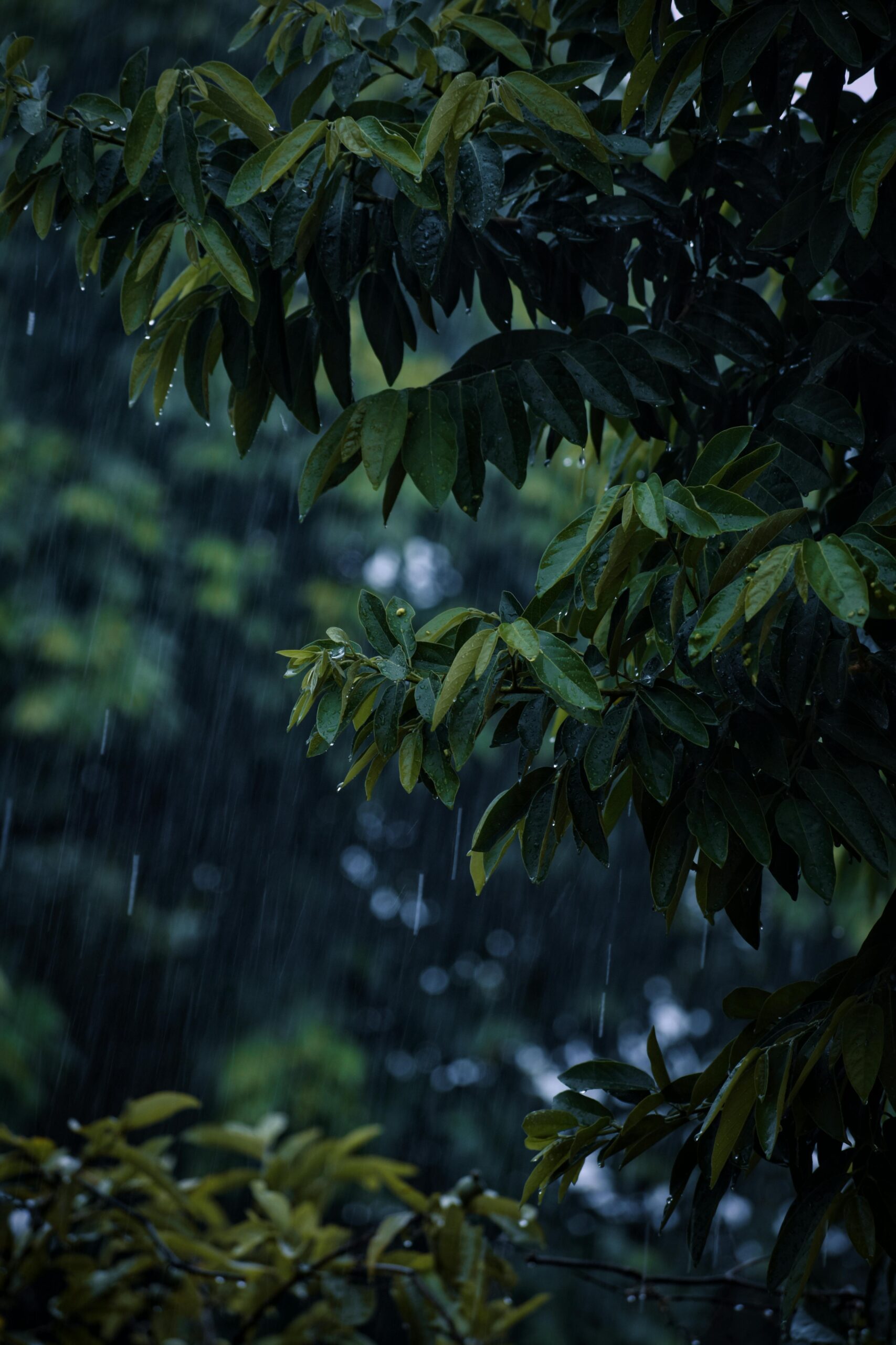 AI and its Role in Combating Climate Change in India