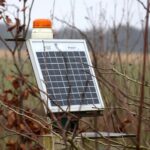 Bihar Lights Up Rural Communities with Solar Power Projects