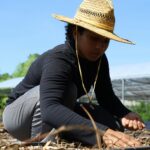AI in Agriculture Innovations Driving Sustainable Farming Practices