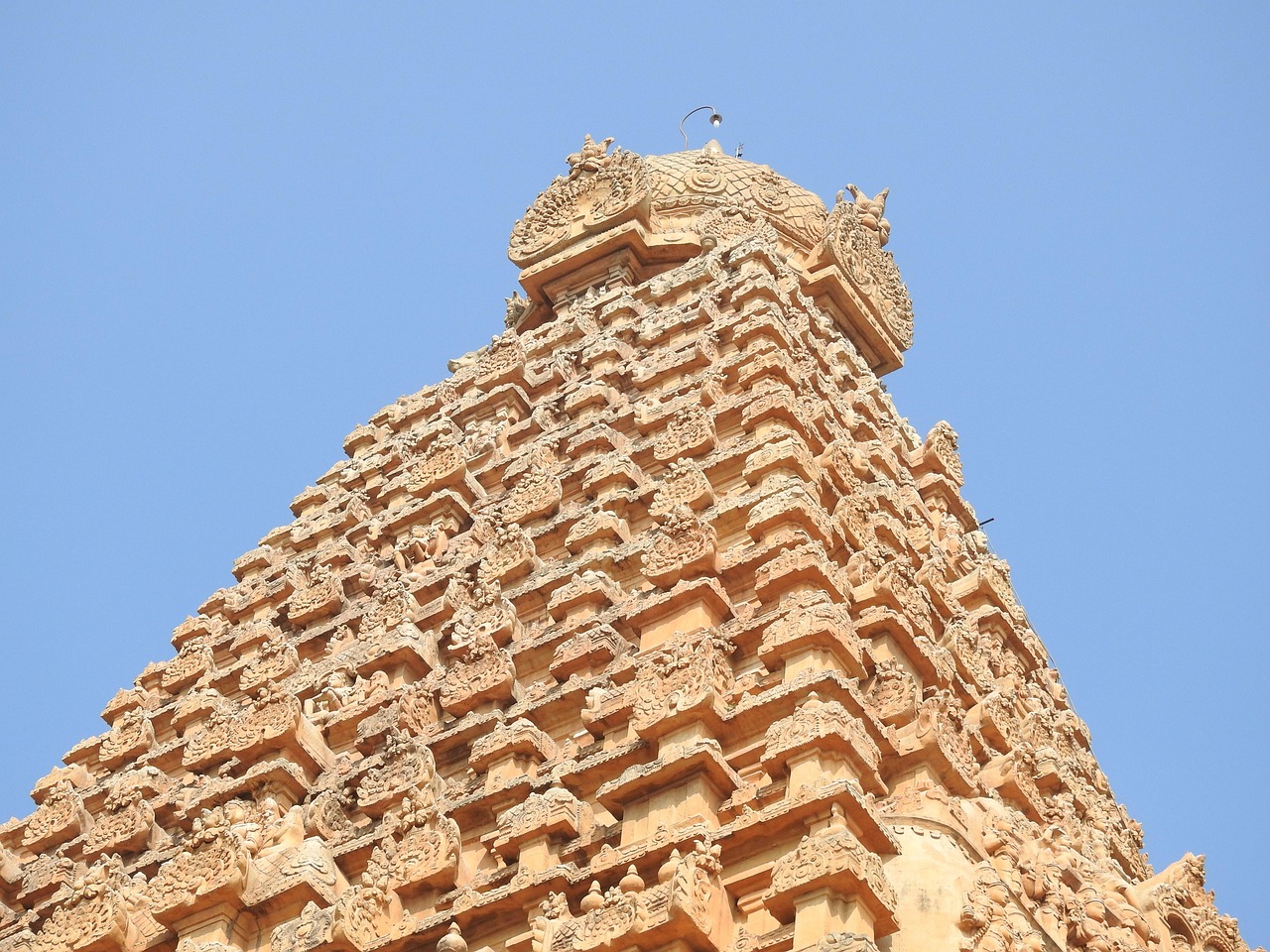 Are Political Alliances in Tamil Nadu Shaping Future Governance
