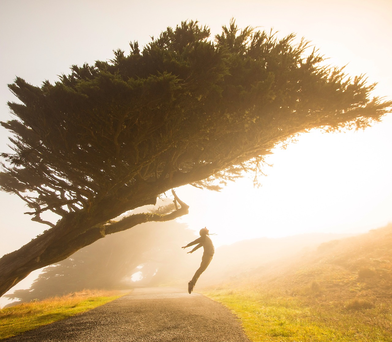 The Legacy of Enlightened Leadership Lessons from History