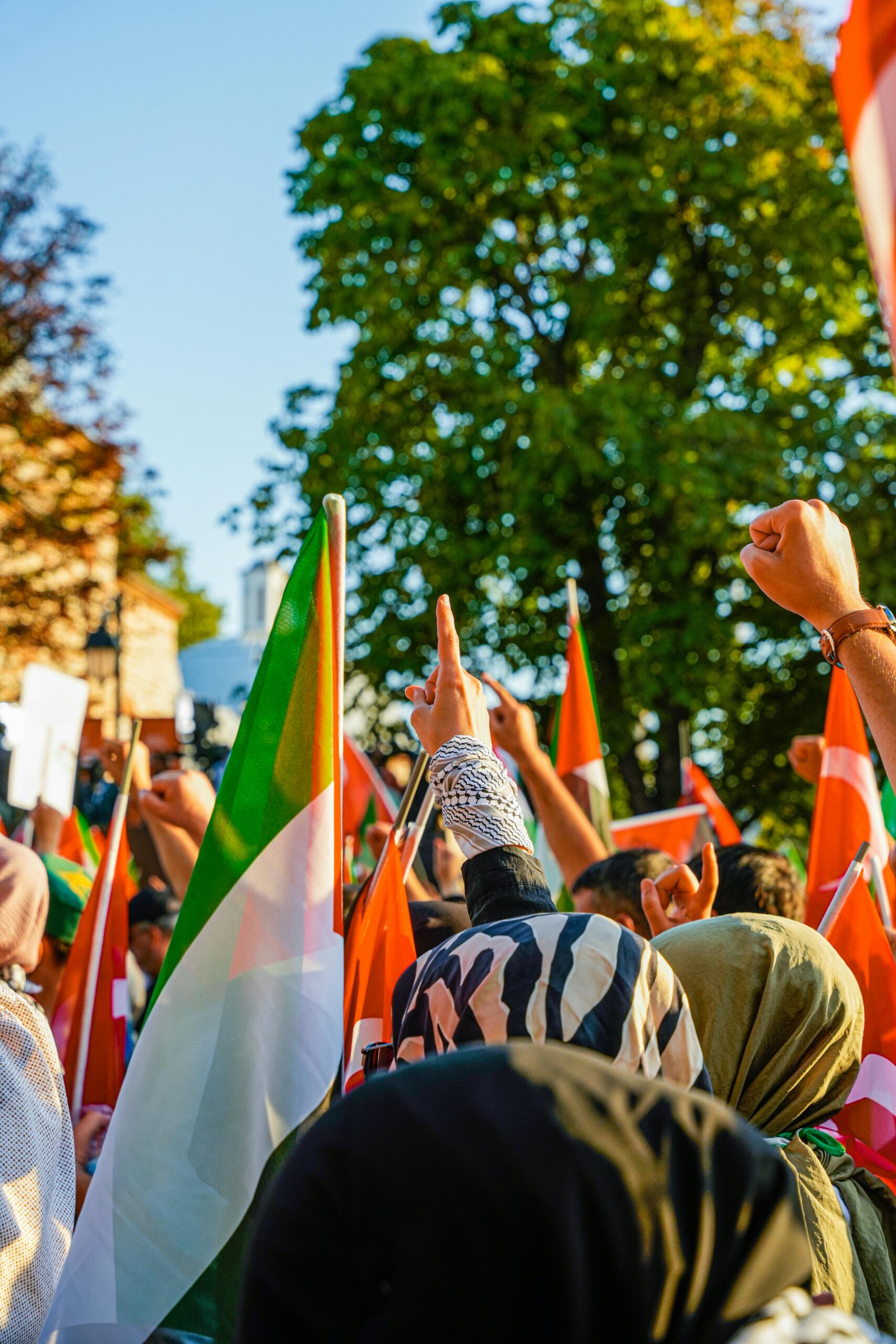 Are Our Democratic Values Under Threat A Reflection on India