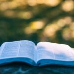 Sacred Texts vs. Sacred Lives Are We Reading or Reflecting