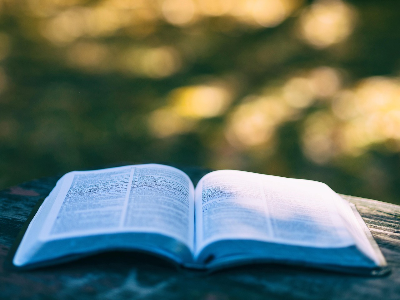 Sacred Texts vs. Sacred Lives Are We Reading or Reflecting