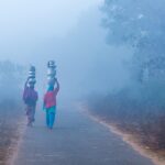 The Political Landscape of Andhra Pradesh Challenges and Opportunities - Exploring the evolving dynamics of Andhra Pradesh’s governance and electoral framework.