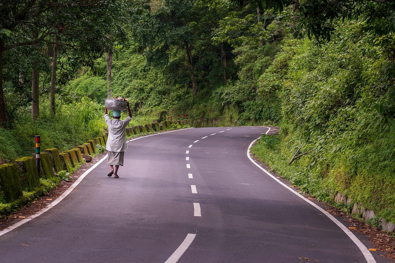 The Road to a Trillion What Government Schemes Hold the Key