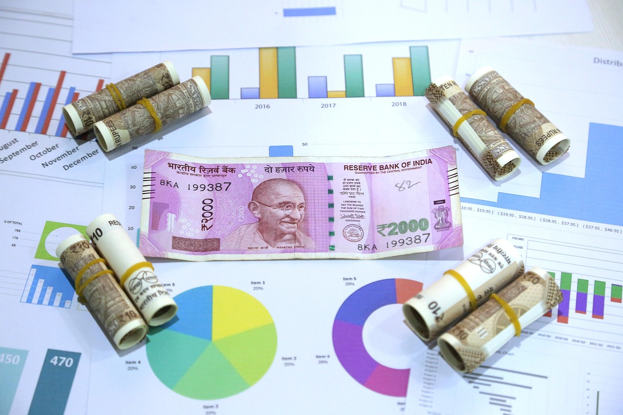 Can Democracy Survive Under the Weight of Economic Inequality in India