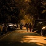 Noida’s Green Initiatives Are We Serious About Sustainability